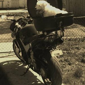 JDMBird's VFR800