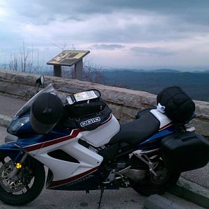 IMAG0290