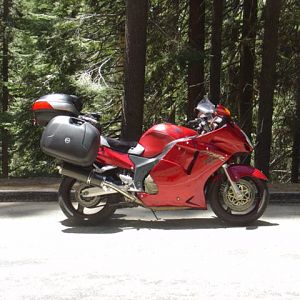 My 01 Super Blackbird