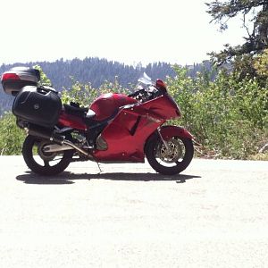 My 01 Super Blackbird