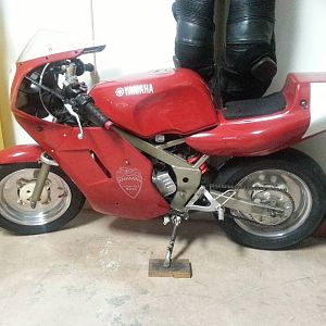 YSR50