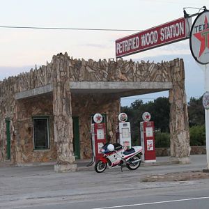Petrified Station