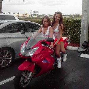 Hooters girls