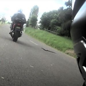 VFR800 Gen5 close encounter with a Snake