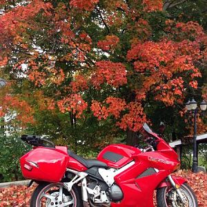 Autumn Ride