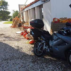 Pampoenkraal Padstal