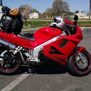 14" Oval Delkevic High Mount