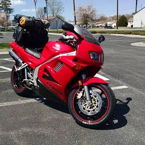 14" Oval Delkevic High Mount