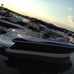 Our Cobalt 282