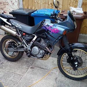 1995 Honda Dominator for the winter months