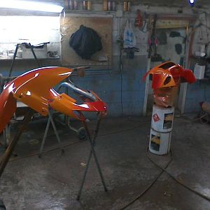 IMG_20160204_184142