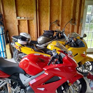 The Whole gang