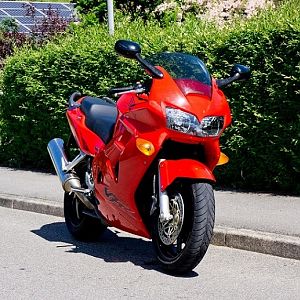 DSC00310