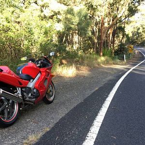 VFR natural habitat