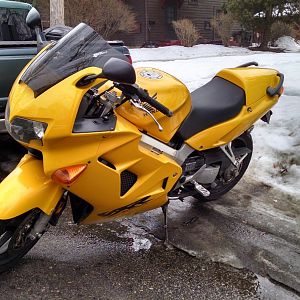 Winter Rider