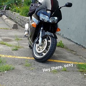 Sexybeast