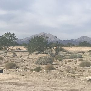 D3 Landscape Outside San Felipe