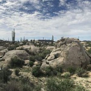 D4 Landscape 270