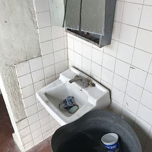 D4 Truck Stop Br Sink