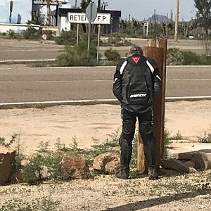 D4 Randy Watering Pole 2
