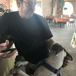 D4 Bahia John Meets Dog