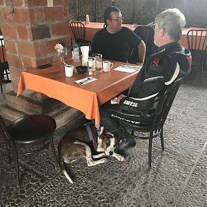 D5 Bahia Hotel Breakfast