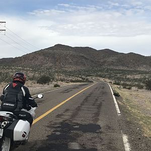 D5 Randy Hwy