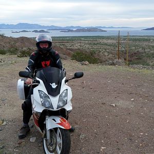 D5 Randy Above Bahia