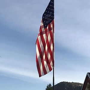 D6 Back In The USA