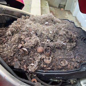 World's cleanest air box!  13yrs in storage!!