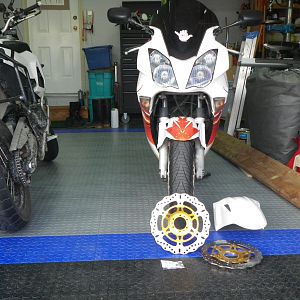 IMGP0734
