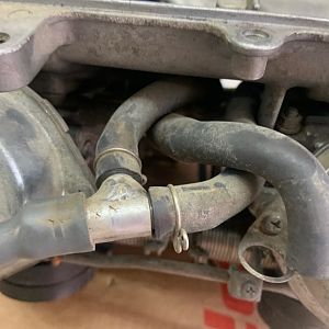 Hoses1