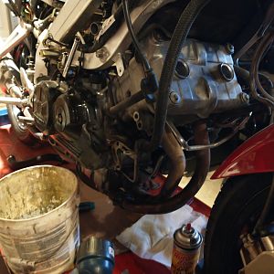 Vfr8