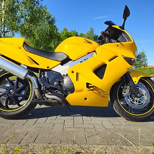 Yellow VFR800FI (2)