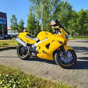 Yellow VFR800FI (4)